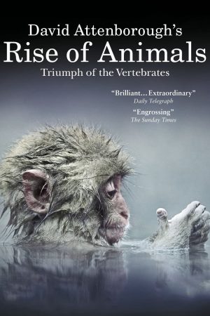 David Attenborough’s Rise of Animals: Triumph of the Vertebrates